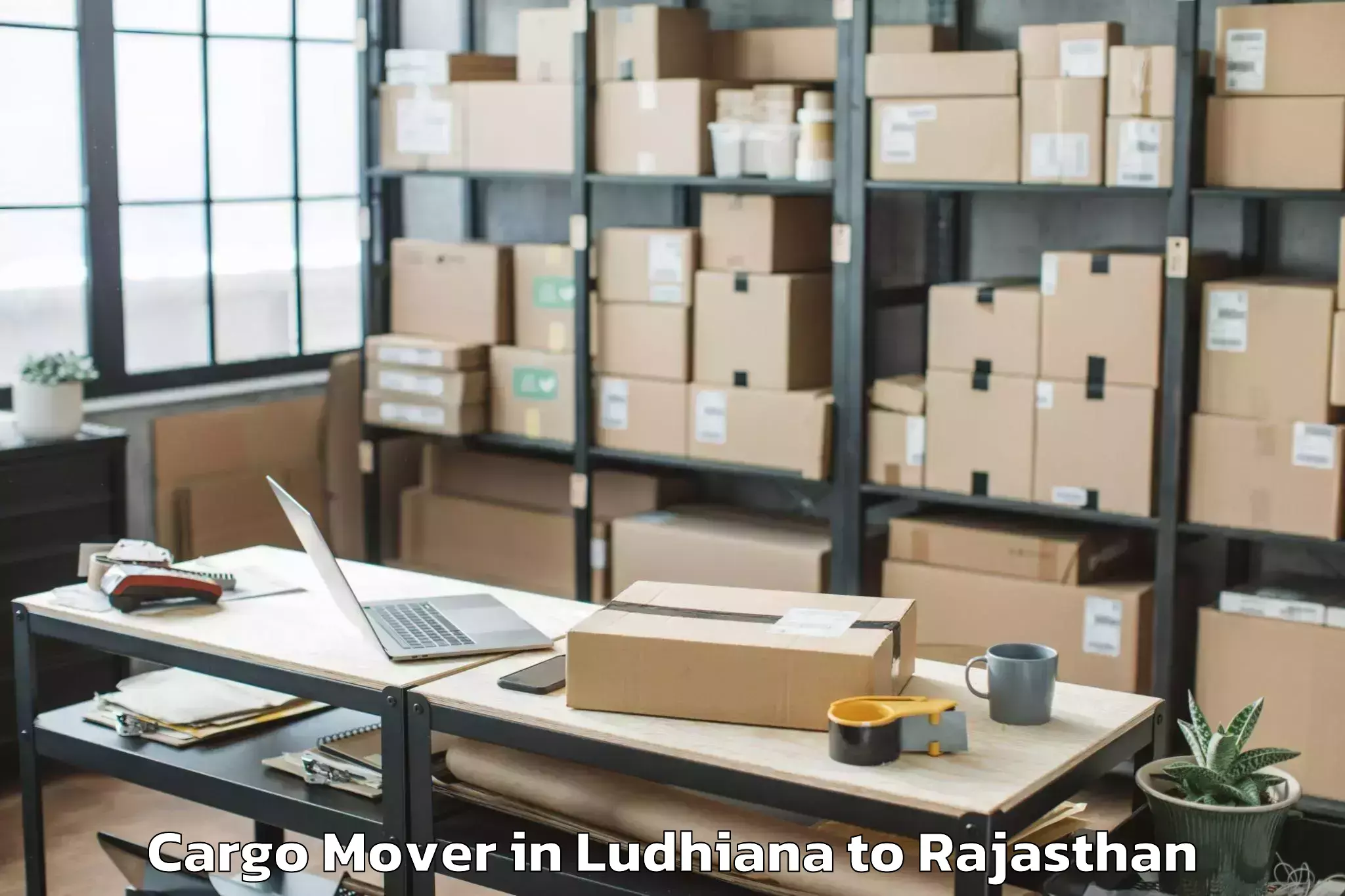 Leading Ludhiana to Madhav University Pindwara Cargo Mover Provider